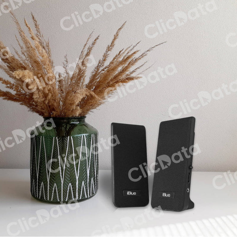 Parlante Iblue 2.0 Multimedia Black 3.5Mm/Usb Power (Ms-232-Bk)